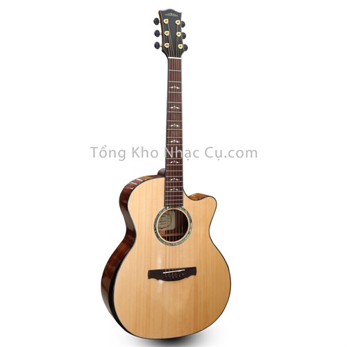 Đàn Guitar Acoustic Everest E100-LMT